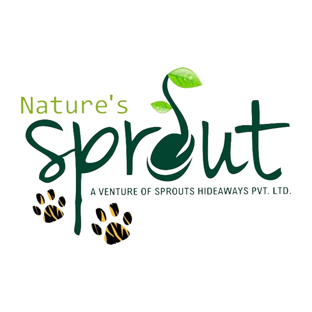 Nature's Sprout